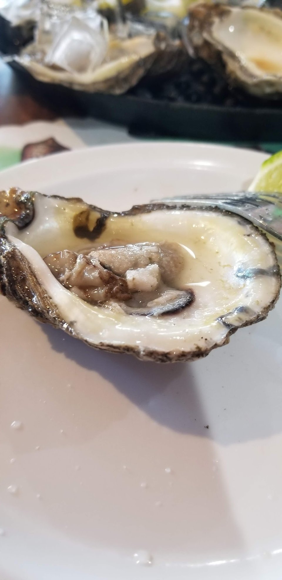 Oysters on the Half Shell